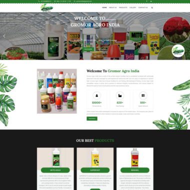 Custom Website Design Pimpri
